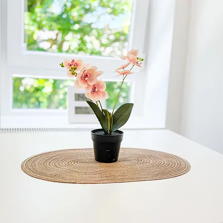 ImmoStay I#2- Apartment mit Garten&Privatparkplatz, WiFi&TV Apartment *